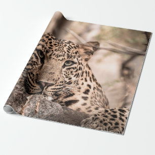 Kunstbild eines männlichen Leoparden oder Pantherp Geschenkpapier