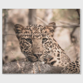Kunstbild männlicher Leoparden oder Panther Geschenkpapier (Flach)