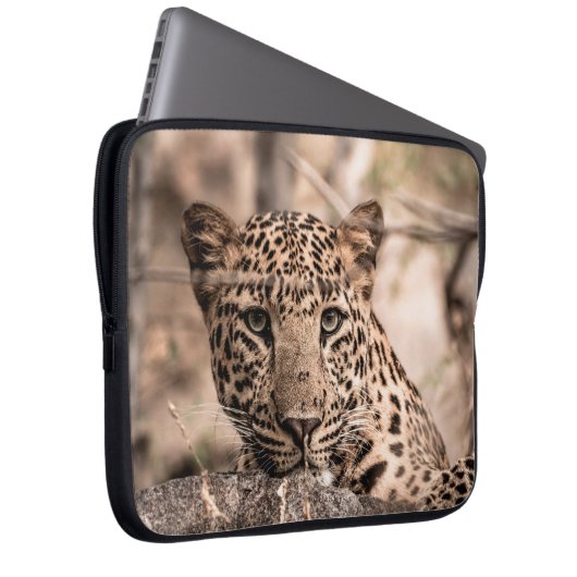 Kunstbild männlicher Leoparden oder Panther Laptopschutzhülle (Vorne Rechts)