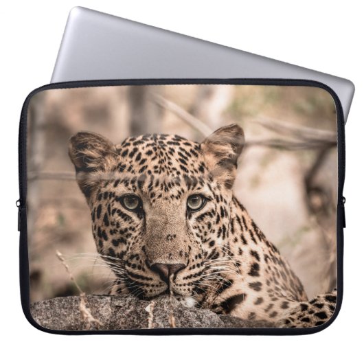 Kunstbild männlicher Leoparden oder Panther Laptopschutzhülle (Vorderseite)