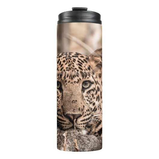 Kunstbild männlicher Leoparden oder Panther Thermosbecher (Vorderseite)