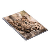 Kunstbild männlicher Leoparden oder Pantherportrai Notizblock (Rechte Seite)