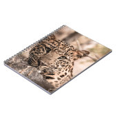 Kunstbild männlicher Leoparden oder Pantherportrai Notizblock (Linke Seite)