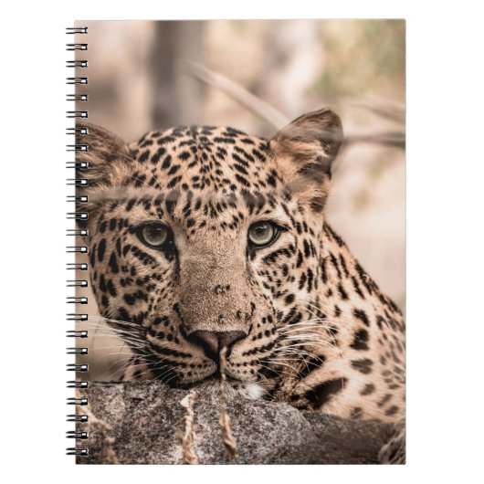 Kunstbild männlicher Leoparden oder Pantherportrai Notizblock (Vorderseite)