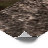 Kunstbild männlicher Leoparden oder Pantherportrai Poster (Ecke)