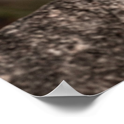 Kunstbild männlicher Leoparden oder Pantherportrai Poster (Ecke)