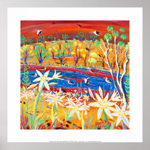 Kunstdrucke: Banrock Station Pelicans and Lilies Poster