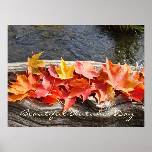 Kunstdrucke des schönen Herbsttages - Herbstlaube Poster (Vorne)