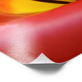 Kunstdrucke von Fine Art Fotografy, Red Tulip Blum Fotodruck (Ecke)