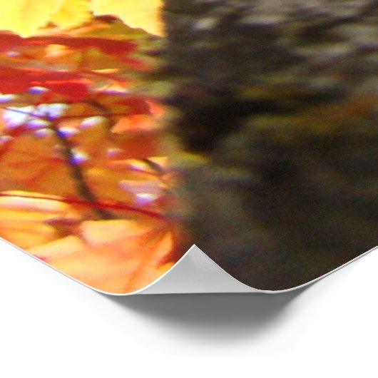 Kunstdrucke von Herbst Blättern farbenfroher Fall Poster (Ecke)