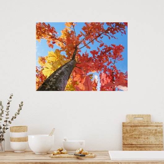 Kunstdrucke von Herbst Blättern farbenfroher Fall Poster (Küche)