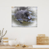 Kunstdruckerei: Schwarzes Duckling Poster (Küche)
