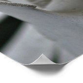 Kunstdruckerei: Whale Vertebrae Poster (Ecke)