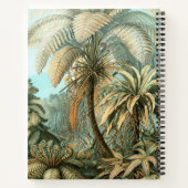 Kunstformen der Natur, Filicinae - Ernst Haeckel Notizblock (Rückseite)