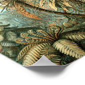 Kunstformen der Natur, Filicinae - Ernst Haeckel Poster (Ecke)