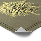 Kunstformen der Natur Poster (Ecke)