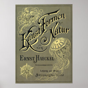 Kunstformen der Natur Poster