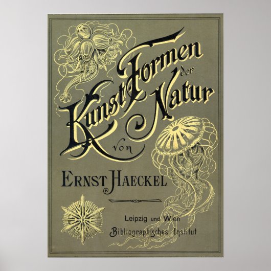 Kunstformen der Natur Poster (Vorne)