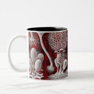 Kunstformen der Natur Zwei-Tone-Tasse Zweifarbige Tasse