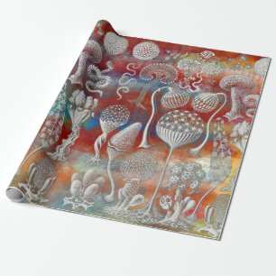 Kunstformen Geschenkpapier