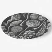 Kunstformen Pappteller (Schrägansicht)