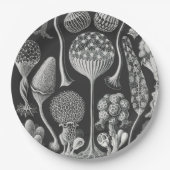 Kunstformen Pappteller (Vorderseite)