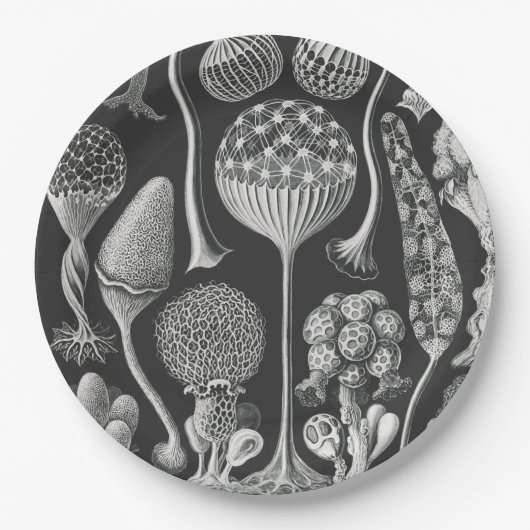 Kunstformen Pappteller (Vorderseite)