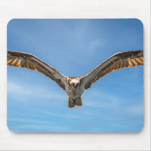 Kunstfoto der Natur: Flug des Fischadlers unter de Mousepad