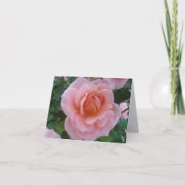 Kunstfotografie der Pink Rose auf einer gefalteten Dankeskarte