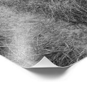 Kunstfotografie Prinz von Lake Michigan Fotodruck (Ecke)