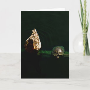 Kunstfotografie von Schildkröten und Enten Karte
