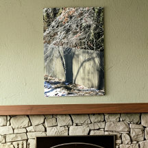 Kunstfotografie: Winterbaum mit imaginärem Schatte