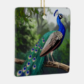 Kunstgefestigte Glaskunst, festgehaltenes Pfau Keramikornament (Rechts)