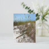Kunstgeschenke von Clearwater Beach Florida Postkarte (Stehend Vorderseite)