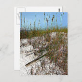 Kunstgeschenke von Clearwater Beach Florida Postkarte (Vorne/Hinten)