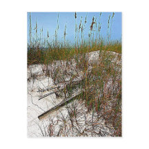 Kunstgeschenke von Clearwater Beach Florida