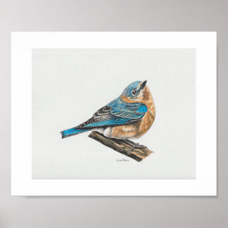 Kunsthandwerk in Bluebird Poster
