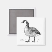 Kunsthandwerk Kanadische Gänse Zeichnend Natur Magnet (Vorderseite/Rückseite)