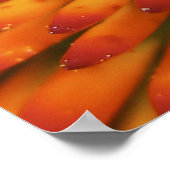 Kunsthandwerk von Nature's Candy Corn Poster (Ecke)