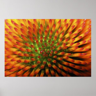 Kunsthandwerk von Nature's Candy Corn Poster