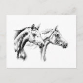Kunsthandwerk zeichnend Pferd Postkarte (Vorderseite)