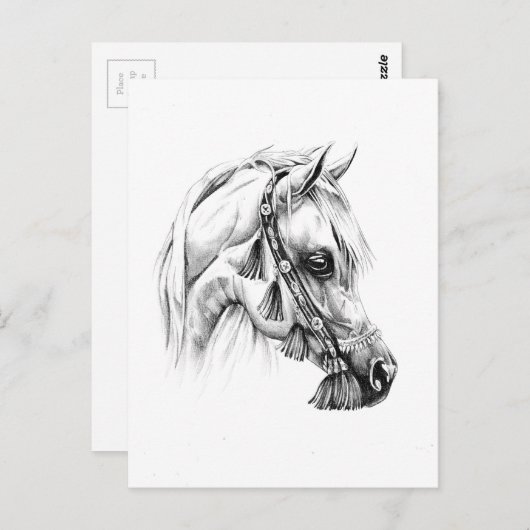 Kunsthandwerk zeichnend Pferd Postkarte (Vorne/Hinten)