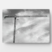 Kunsthandwerkskrane Schwarz-Weiß-Foto Fotoplatte (Vorderseite)