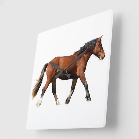 Kunsthistorische Pferdemalerei Quadratische Wanduhr (Winkel)