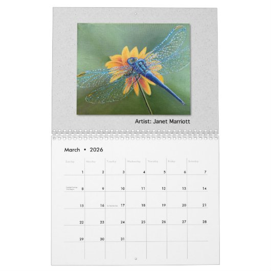 Kunstkalender Vanessa 2024 Art Studio Kalender (Mär 2026)