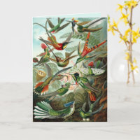 Kunstkolibris individuelle Grußkarte