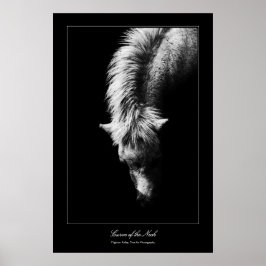 Kunstkurven des Necks, Galerie-Stil Poster