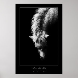 Kunstkurven des Necks, Galerie-Stil Poster