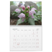 Künstler-Kalender 2016 Kalender (Jan 2027)