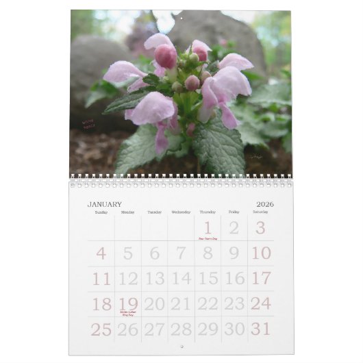 Künstler-Kalender 2017 Kalender (Jan 2026)